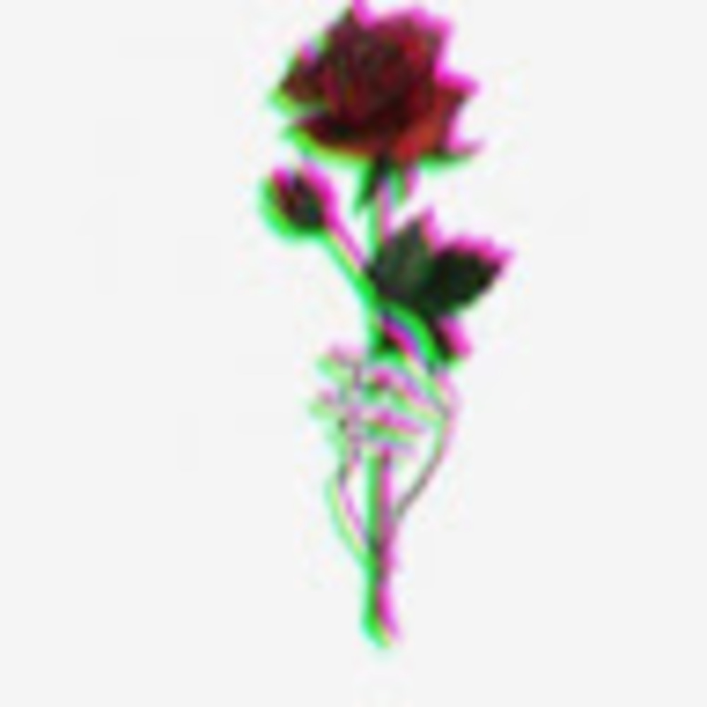 Meet your Posher, Netta